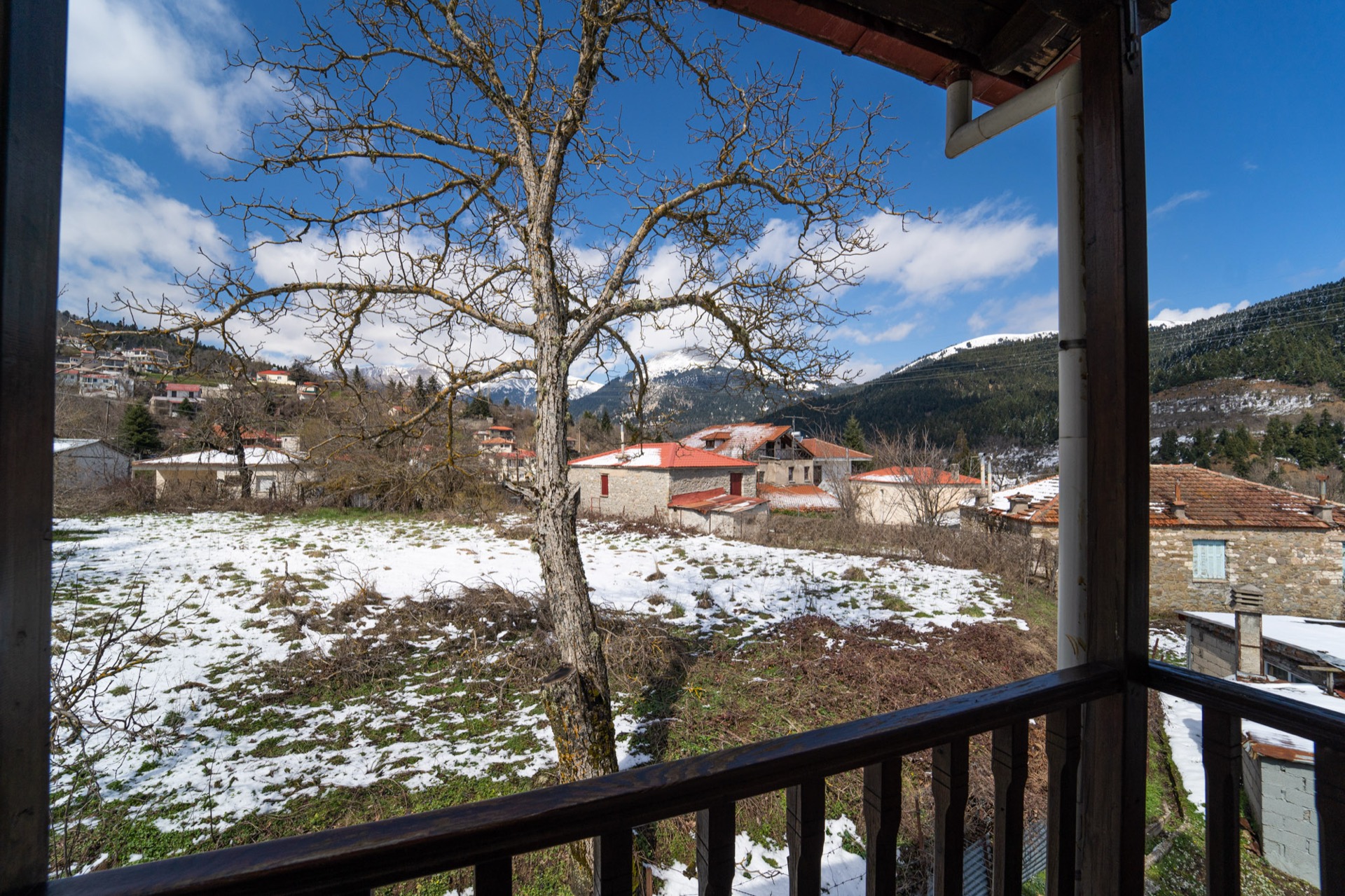 Θέα στο δάσος από το μπαλκόνι